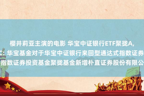 樱井莉亚主演的电影 华宝中证银行ETF聚拢A,华宝中证银行ETF聚拢C: 华宝基金对于华宝中证银行来回型通达式指数证券投资基金聚拢基金新增朴直证券股份有限公司为代销机构的公告