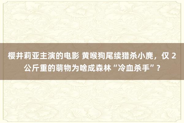 樱井莉亚主演的电影 黄喉狗尾续猎杀小麂，仅 2公斤重的萌物为啥成森林“冷血杀手”？