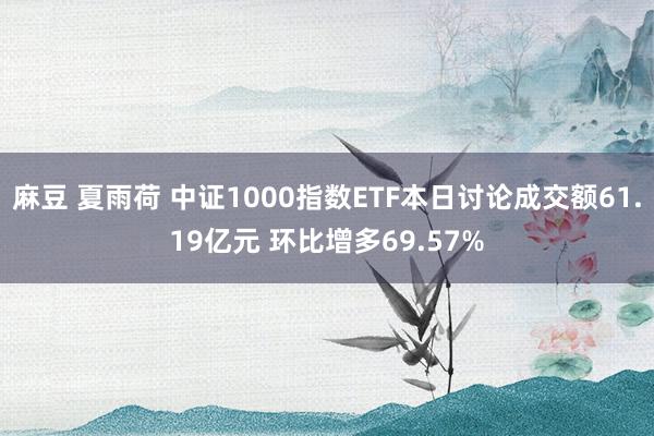 麻豆 夏雨荷 中证1000指数ETF本日讨论成交额61.19亿元 环比增多69.57%