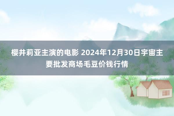 樱井莉亚主演的电影 2024年12月30日宇宙主要批发商场毛豆价钱行情