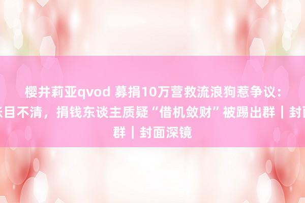 樱井莉亚qvod 募捐10万营救流浪狗惹争议：筹款账目不清，捐钱东谈主质疑“借机敛财”被踢出群｜封面深镜