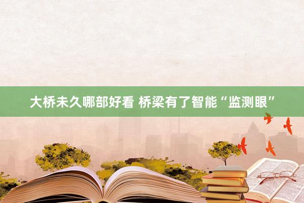 大桥未久哪部好看 桥梁有了智能“监测眼”